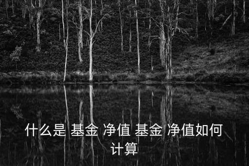 基金凈值是什么,基金凈值不是投資依據(jù)但成長性是關(guān)鍵