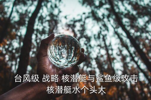 臺風級戰略核潛艇,鯊魚潛艇隱蔽性能在美俄潛艇中名列前茅