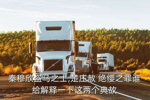 秦穆欣盜馬之士,楚莊赦 絕纓之罪誰給解釋一下這兩個典故