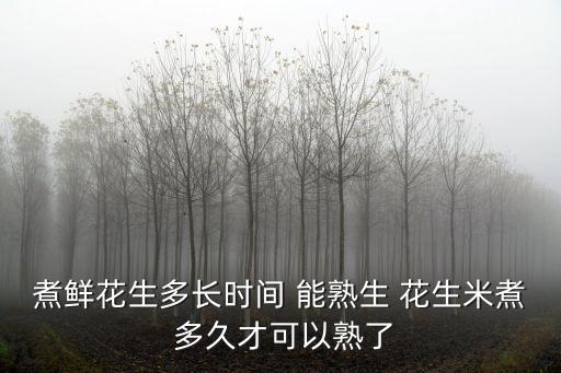 花生米煮多久能熟,花生米做飯要多久能熟?