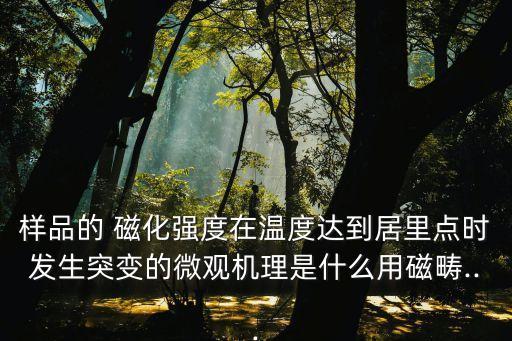 自發磁化,溫度繼續上升到居里點那么高物質磁性會突然發生變化