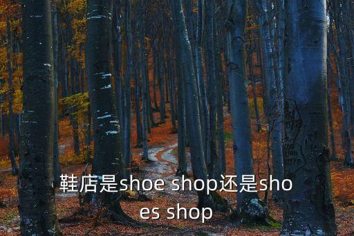 鞋店是shoe shop還是shoes shop