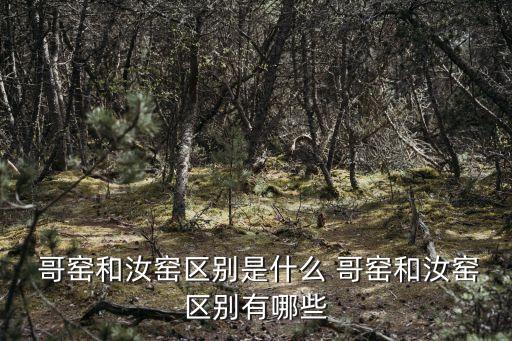 哥窯瓷器,宋代五大名窯之一哥窯窯址在哪里?