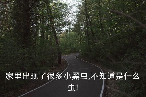 家里出現了很多小黑蟲,不知道是什么蟲!