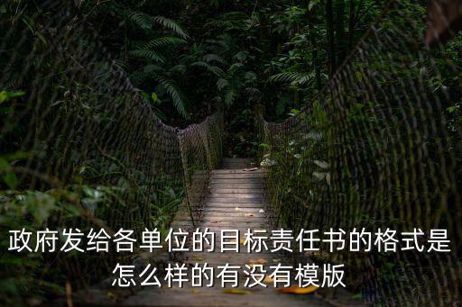 政府發給各單位的目標責任書的格式是怎么樣的有沒有模版