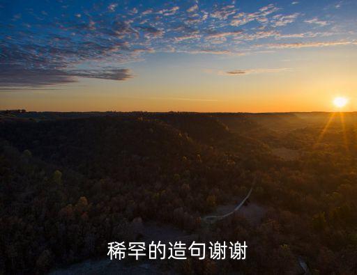稀罕的造句謝謝
