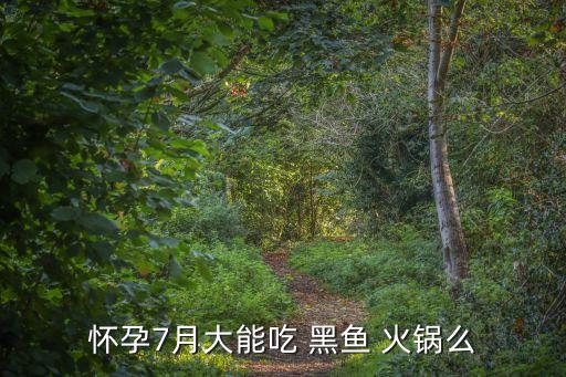 黑魚火鍋,辣的黑魚火鍋食譜:先預熱再放辣椒