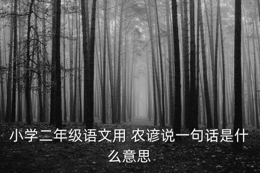 小學二年級語文用 農諺說一句話是什么意思