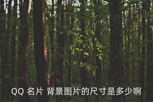 QQ 名片 背景圖片的尺寸是多少啊