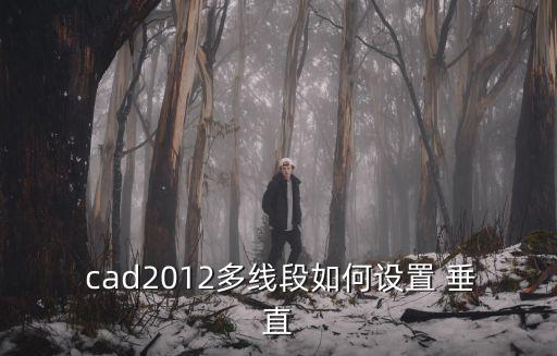 cad垂直命令,使用極軸追蹤可幫助繪圖工作