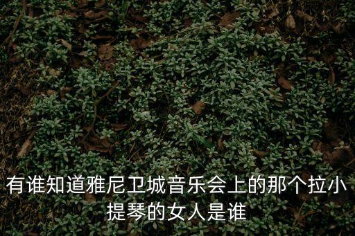 小提琴女孩，五星紅旗中間有段小提琴演奏是女的她是誰