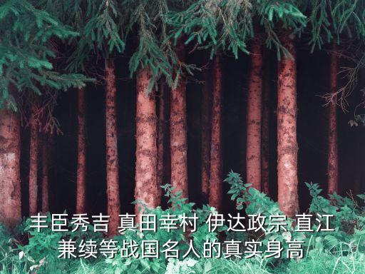 豐臣秀吉身高，豐臣秀吉的身高
