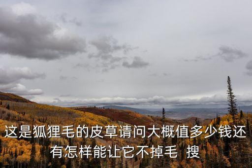 這是狐貍毛的皮草請(qǐng)問(wèn)大概值多少錢還有怎樣能讓它不掉毛  搜