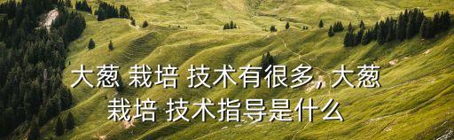 大蔥栽培技術,夏秋大蔥種植后45-60天根莖粗1.5厘米