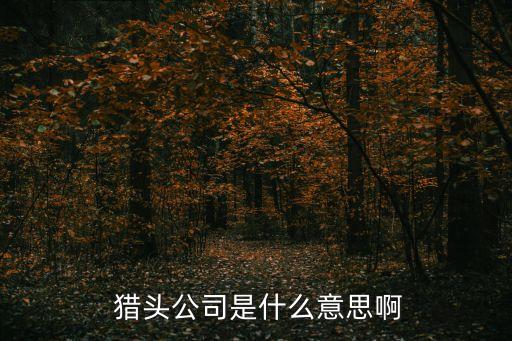 婚姻獵頭,獵頭公司已擁有數十位經驗豐富的獵頭咨詢師