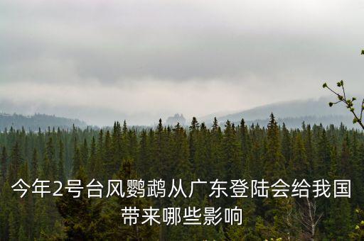 今年2號臺風鸚鵡從廣東登陸會給我國帶來哪些影響