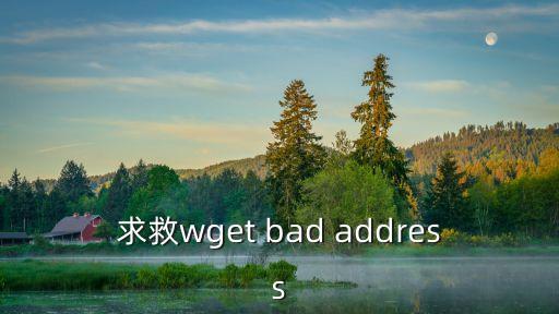 求救wget bad address