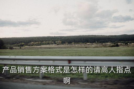 產品銷售方案格式是怎樣的請高人指點啊