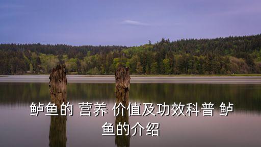 鱸魚的營養價值及功效,清蒸鱸魚魚肉嫩如豆腐鮮如蟹