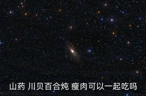 山藥 川貝百合燉 瘦肉可以一起吃嗎
