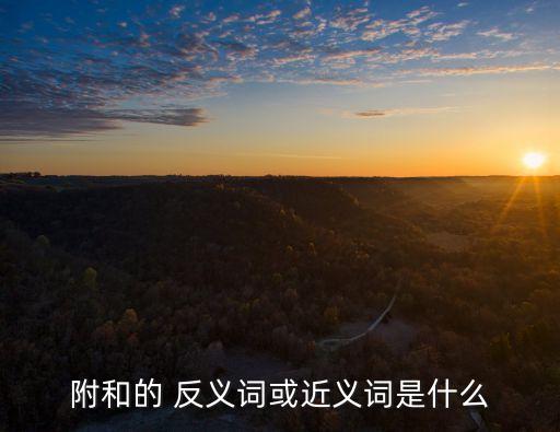 附和的 反義詞或近義詞是什么