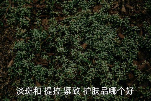 淡斑和 提拉 緊致 護膚品哪個好