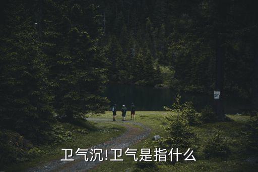 衛氣虛,五臟六腑之氣皆源于元氣腎氣虛主要癥狀