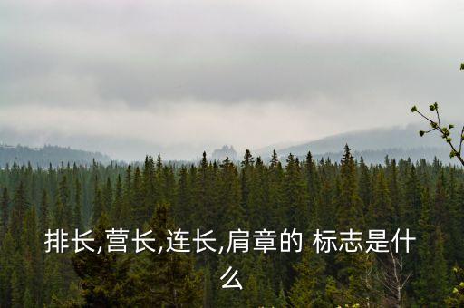 軍銜標(biāo)志,有一定功勛士兵退役后有權(quán)穿著帶有軍銜標(biāo)志軍服