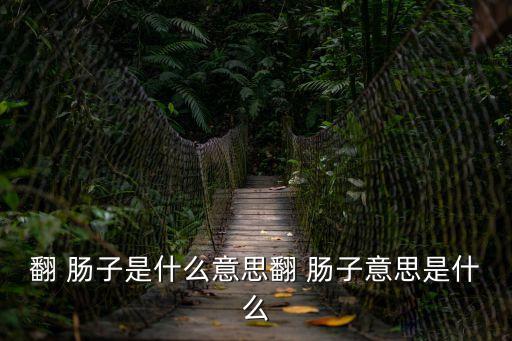 翻 腸子是什么意思翻 腸子意思是什么