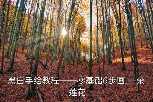 黑白手繪教程——零基礎6步畫 一朵 蓮花