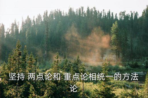 兩點(diǎn)論和重點(diǎn)論,一點(diǎn)是兩點(diǎn)重點(diǎn)是重點(diǎn)理論密切相關(guān)不可分割