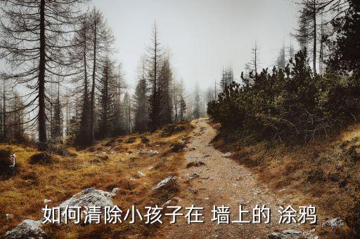 墻上涂鴉,學校不能是涂鴉寶寶們煩惱又生氣