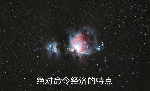 絕對命令經濟的特點