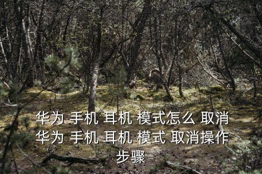  華為 手機(jī) 耳機(jī) 模式怎么 取消 華為 手機(jī) 耳機(jī) 模式 取消操作步驟