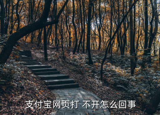 支付寶打不開,支付鮑ba怎么用?