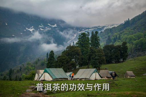 普茶，普洱茶是一種什么茶