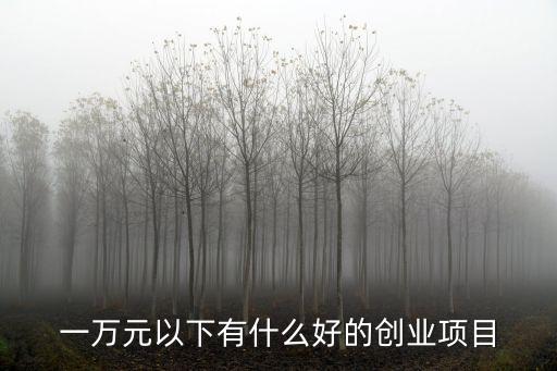 一萬元以下有什么好的創(chuàng)業(yè)項(xiàng)目