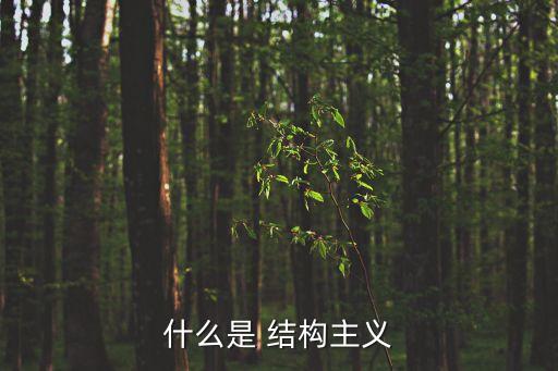 結構主義,結構主義在西方馬克思主義學派中流行