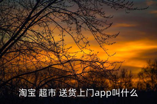 淘寶 超市 送貨上門app叫什么