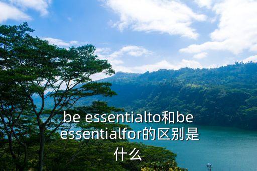 essential什么意思,一文讀懂!英國漢語拼音