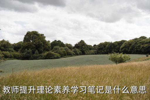 理論學習筆記，教師提升理論素養學習筆記是什么意思
