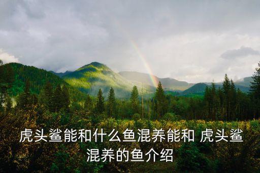  虎頭鯊能和什么魚混養(yǎng)能和 虎頭鯊混養(yǎng)的魚介紹