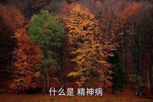 什么是 精神病