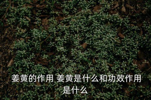 姜黃的功效與作用,藥理作用:抗炎鎮痛、降脂降壓抗凝
