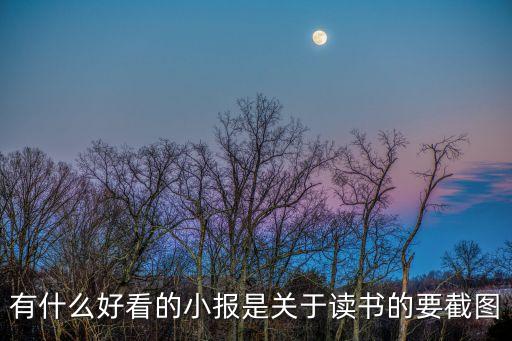 有什么好看的小報是關(guān)于讀書的要截圖