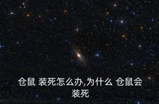 倉鼠裝死,寵物也要保持安全距離（13））