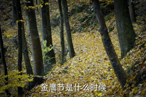  金鷹節是什么時候