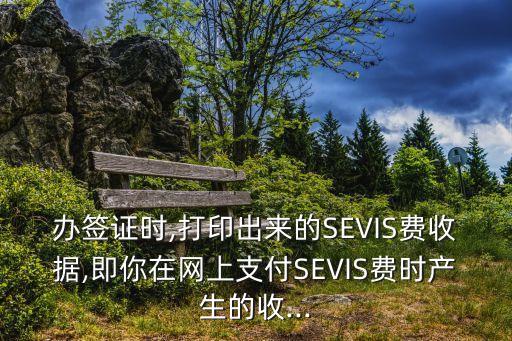 辦簽證時,打印出來的SEVIS費收據,即你在網上支付SEVIS費時產生的收...