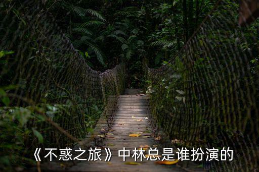 吳曉敏,《不惑之旅》飾演林婉柔吳曉敏演技炸裂