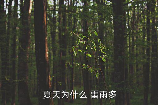  夏天為什么 雷雨多